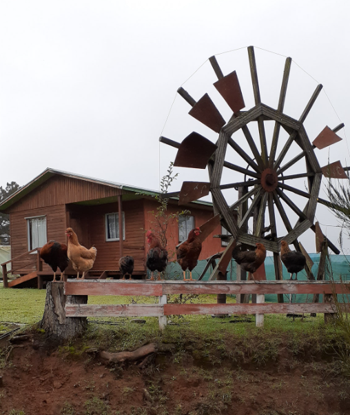 Agroturismo Rancho J y C