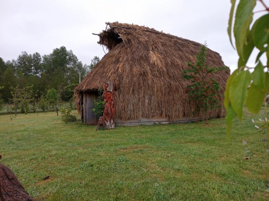 Imagen de Fortín Mapuche