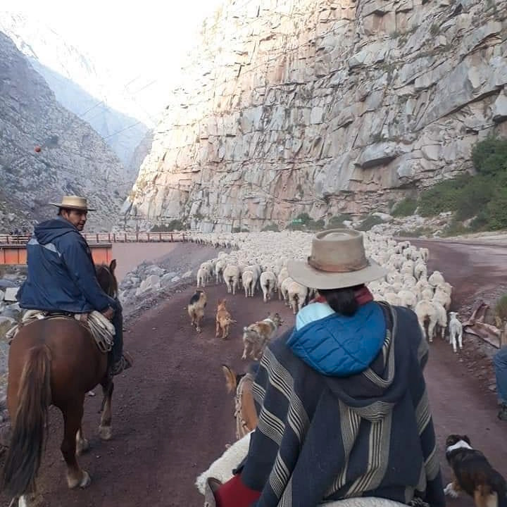 Imagen de Cabalgatas y Tour Operador Tupungato