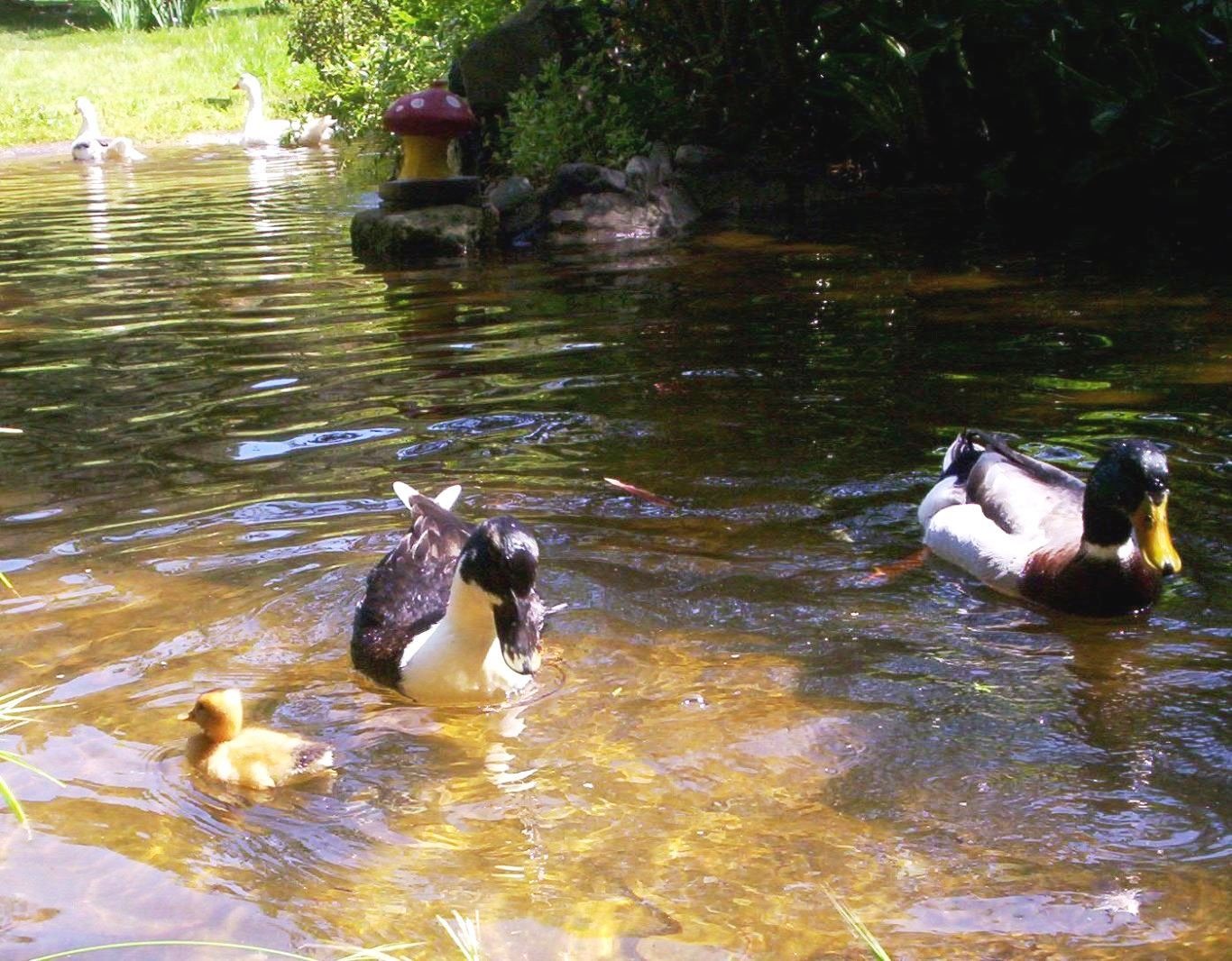 Ecoreserva