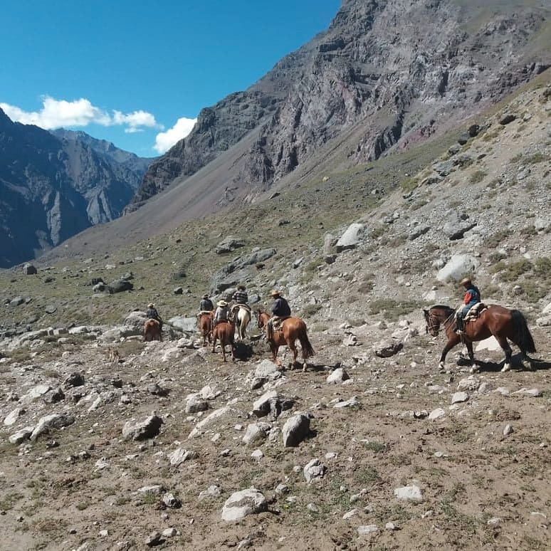 Cabalgatas y Tour Operador Tupungato