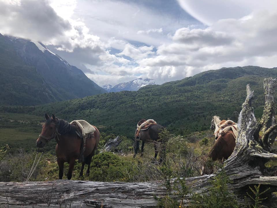 D-Origen Patagonia