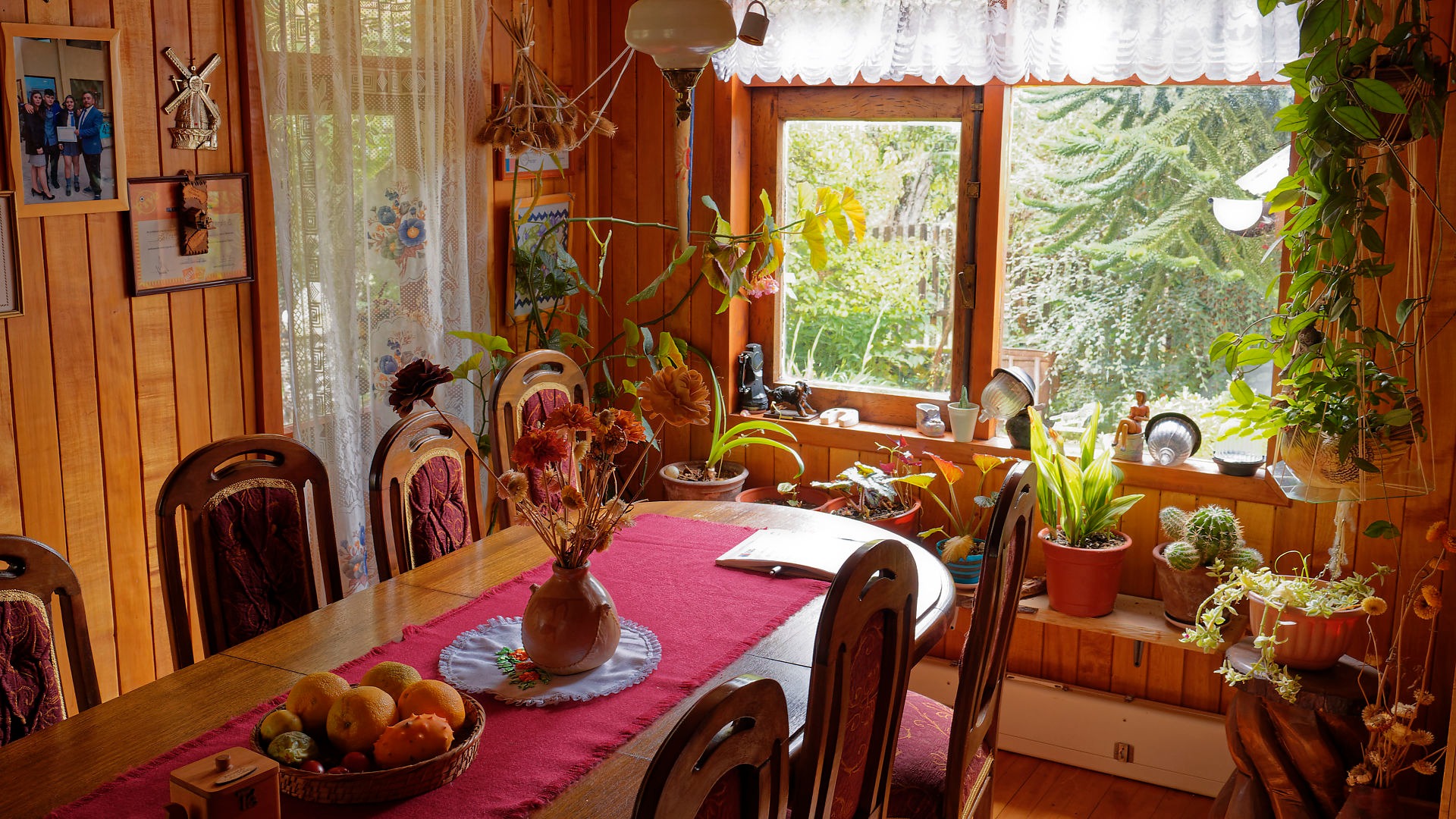 Hospedaje Rural y Cabañas Mirador del Río