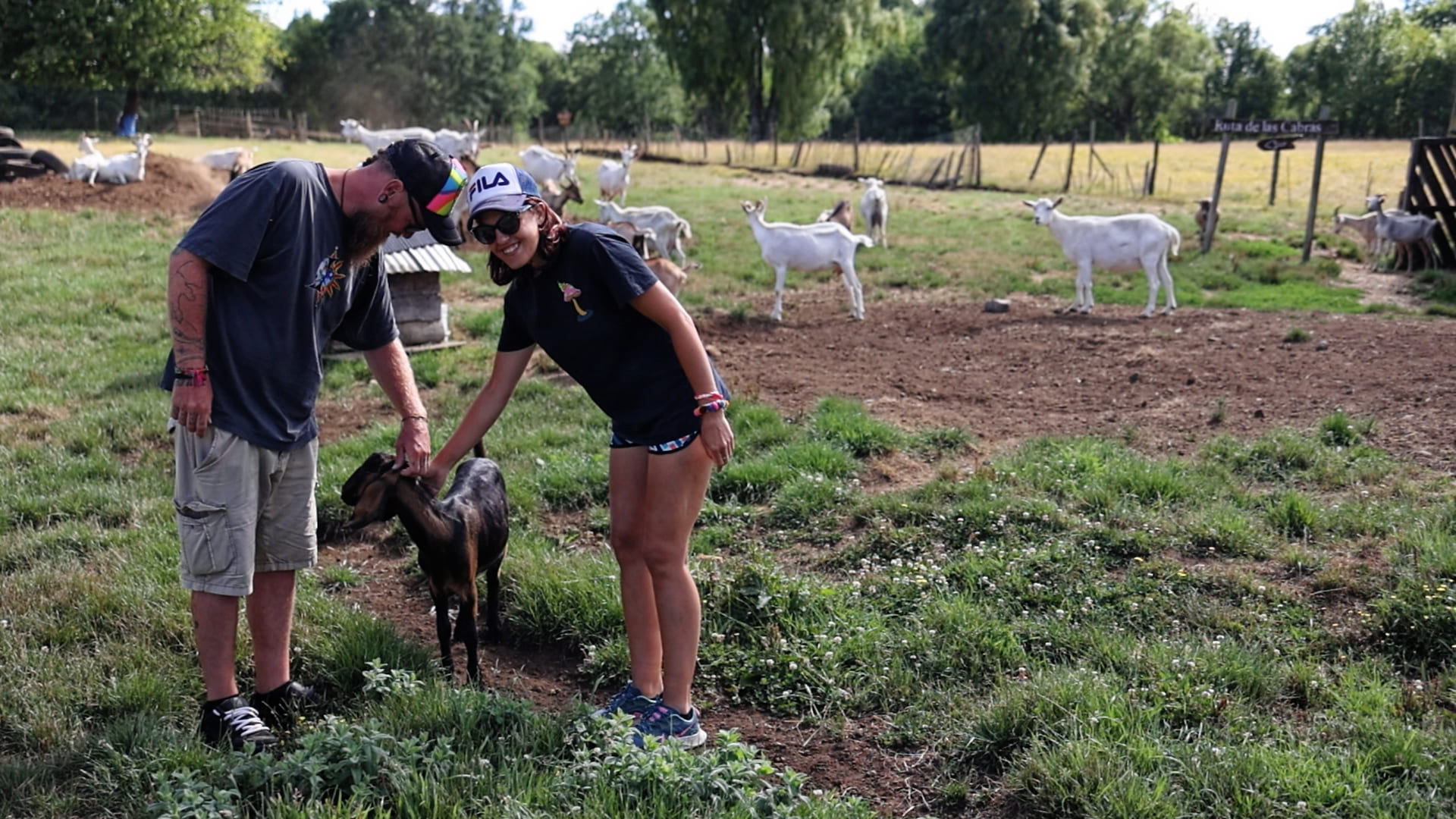 Granja Interactiva Praderas del Sur