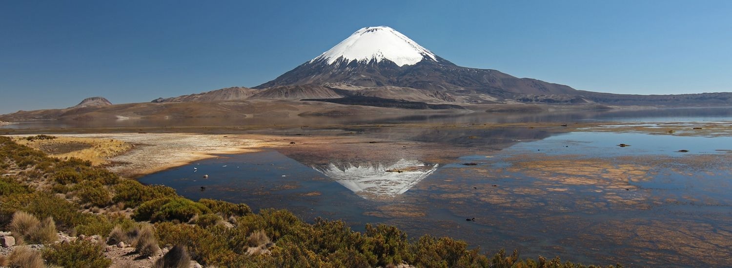 servicio de guía