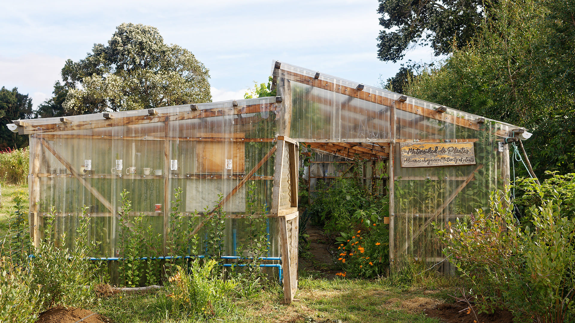 Imagen de Agroturismo Terralluvia Chiloé