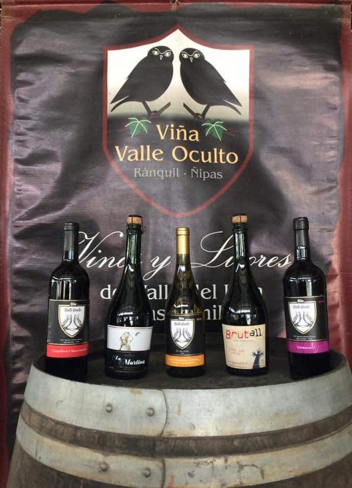 Imagen de Vinos Valle Oculto